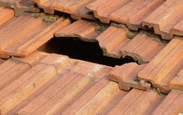roof repair Colebatch, Shropshire