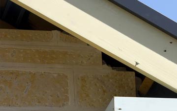 soffit repair Colebatch